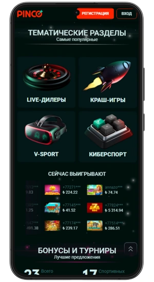Pinco Тематические разделы